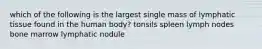 which of the following is the largest single mass of lymphatic tissue found in the human body? tonsils spleen lymph nodes bone marrow lymphatic nodule