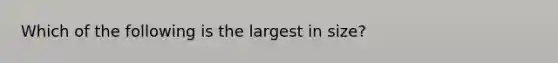 Which of the following is the largest in size?