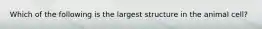 Which of the following is the largest structure in the animal cell?