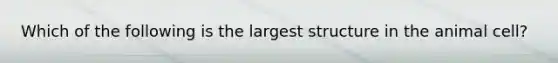 Which of the following is the largest structure in the animal cell?