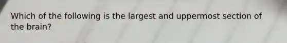 Which of the following is the largest and uppermost section of the brain?