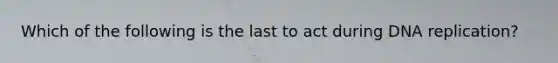 Which of the following is the last to act during DNA replication?