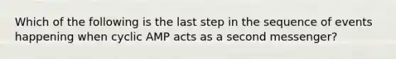 Which of the following is the last step in the sequence of events happening when cyclic AMP acts as a second messenger?