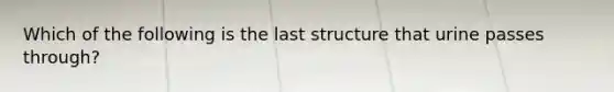 Which of the following is the last structure that urine passes through?