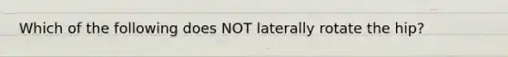 Which of the following does NOT laterally rotate the hip?