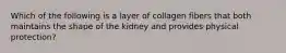 Which of the following is a layer of collagen fibers that both maintains the shape of the kidney and provides physical protection?