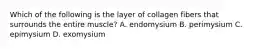 Which of the following is the layer of collagen fibers that surrounds the entire muscle? A. endomysium B. perimysium C. epimysium D. exomysium