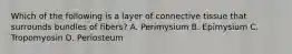 Which of the following is a layer of connective tissue that surrounds bundles of fibers? A. Perimysium B. Epimysium C. Tropomyosin D. Periosteum