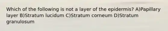 Which of the following is not a layer of the epidermis? A)Papillary layer B)Stratum lucidum C)Stratum corneum D)Stratum granulosum