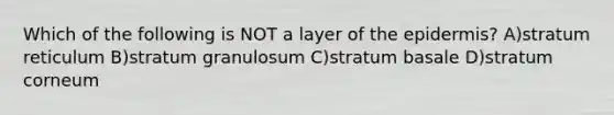 Which of the following is NOT a layer of the epidermis? A)stratum reticulum B)stratum granulosum C)stratum basale D)stratum corneum