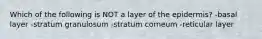 Which of the following is NOT a layer of the epidermis? -basal layer -stratum granulosum -stratum corneum -reticular layer