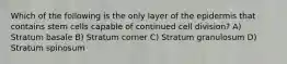 Which of the following is the only layer of the epidermis that contains stem cells capable of continued cell division? A) Stratum basale B) Stratum corner C) Stratum granulosum D) Stratum spinosum