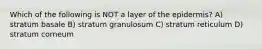 Which of the following is NOT a layer of the epidermis? A) stratum basale B) stratum granulosum C) stratum reticulum D) stratum corneum