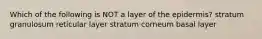 Which of the following is NOT a layer of the epidermis? stratum granulosum reticular layer stratum corneum basal layer