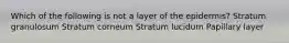 Which of the following is not a layer of the epidermis? Stratum granulosum Stratum corneum Stratum lucidum Papillary layer