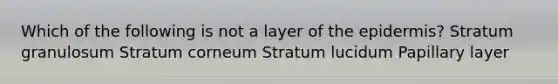 Which of the following is not a layer of the epidermis? Stratum granulosum Stratum corneum Stratum lucidum Papillary layer