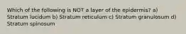 Which of the following is NOT a layer of the epidermis? a) Stratum lucidum b) Stratum reticulum c) Stratum granulosum d) Stratum spinosum