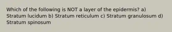 Which of the following is NOT a layer of the epidermis? a) Stratum lucidum b) Stratum reticulum c) Stratum granulosum d) Stratum spinosum