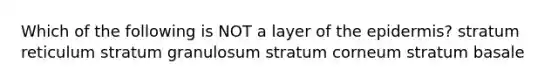 Which of the following is NOT a layer of the epidermis? stratum reticulum stratum granulosum stratum corneum stratum basale