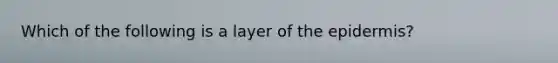 Which of the following is a layer of the epidermis?