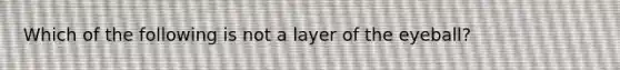 Which of the following is not a layer of the eyeball?