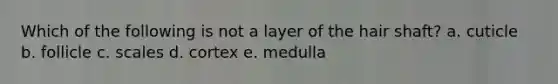 Which of the following is not a layer of the hair shaft? a. cuticle b. follicle c. scales d. cortex e. medulla