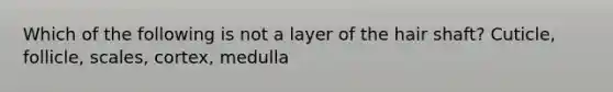 Which of the following is not a layer of the hair shaft? Cuticle, follicle, scales, cortex, medulla