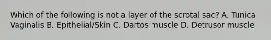 Which of the following is not a layer of the scrotal sac? A. Tunica Vaginalis B. Epithelial/Skin C. Dartos muscle D. Detrusor muscle