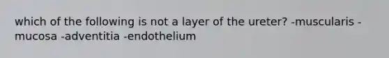 which of the following is not a layer of the ureter? -muscularis -mucosa -adventitia -endothelium