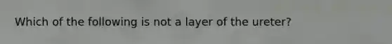 Which of the following is not a layer of the ureter?