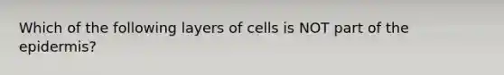 Which of the following layers of cells is NOT part of the epidermis?