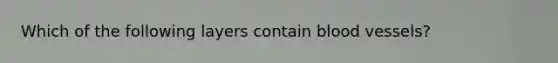 Which of the following layers contain blood vessels?