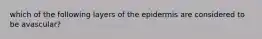 which of the following layers of the epidermis are considered to be avascular?