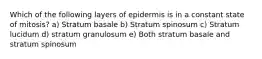 Which of the following layers of epidermis is in a constant state of mitosis? a) Stratum basale b) Stratum spinosum c) Stratum lucidum d) stratum granulosum e) Both stratum basale and stratum spinosum