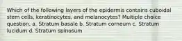 Which of the following layers of the epidermis contains cuboidal stem cells, keratinocytes, and melanocytes? Multiple choice question. a. Stratum basale b. Stratum corneum c. Stratum lucidum d. Stratum spinosum