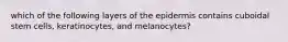 which of the following layers of the epidermis contains cuboidal stem cells, keratinocytes, and melanocytes?