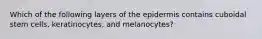 Which of the following layers of the epidermis contains cuboidal stem cells, keratinocytes, and melanocytes?