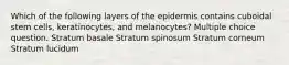 Which of the following layers of the epidermis contains cuboidal stem cells, keratinocytes, and melanocytes? Multiple choice question. Stratum basale Stratum spinosum Stratum corneum Stratum lucidum