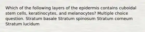 Which of the following layers of <a href='https://www.questionai.com/knowledge/kBFgQMpq6s-the-epidermis' class='anchor-knowledge'>the epidermis</a> contains cuboidal stem cells, keratinocytes, and melanocytes? Multiple choice question. Stratum basale Stratum spinosum Stratum corneum Stratum lucidum