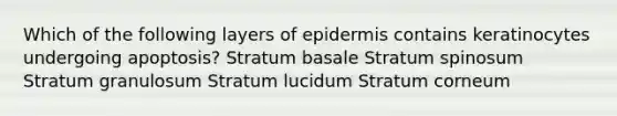 Which of the following layers of epidermis contains keratinocytes undergoing apoptosis? Stratum basale Stratum spinosum Stratum granulosum Stratum lucidum Stratum corneum