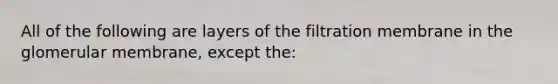 All of the following are layers of the filtration membrane in the glomerular membrane, except the: