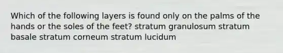 Which of the following layers is found only on the palms of the hands or the soles of the feet? stratum granulosum stratum basale stratum corneum stratum lucidum