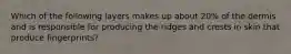 Which of the following layers makes up about 20% of the dermis and is responsible for producing the ridges and crests in skin that produce fingerprints?