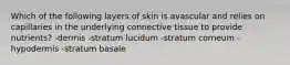 Which of the following layers of skin is avascular and relies on capillaries in the underlying connective tissue to provide nutrients? -dermis -stratum lucidum -stratum corneum -hypodermis -stratum basale