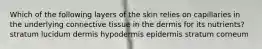 Which of the following layers of the skin relies on capillaries in the underlying connective tissue in the dermis for its nutrients? stratum lucidum dermis hypodermis epidermis stratum corneum