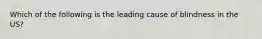 Which of the following is the leading cause of blindness in the US?