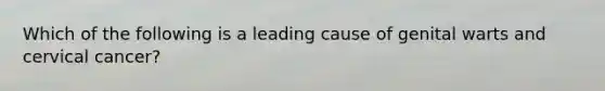 Which of the following is a leading cause of genital warts and cervical cancer?