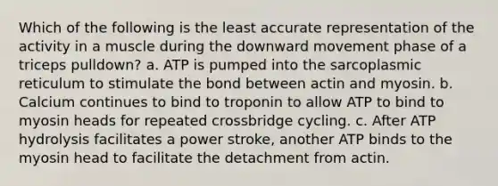 Which of the following is the least accurate representation of the activity in a muscle during the downward movement phase of a triceps pulldown? a. ATP is pumped into the sarcoplasmic reticulum to stimulate the bond between actin and myosin. b. Calcium continues to bind to troponin to allow ATP to bind to myosin heads for repeated crossbridge cycling. c. After ATP hydrolysis facilitates a power stroke, another ATP binds to the myosin head to facilitate the detachment from actin.