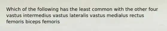 Which of the following has the least common with the other four vastus intermedius vastus lateralis vastus medialus rectus femoris biceps femoris