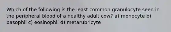 Which of the following is the least common granulocyte seen in the peripheral blood of a healthy adult cow? a) monocyte b) basophil c) eosinophil d) metarubricyte